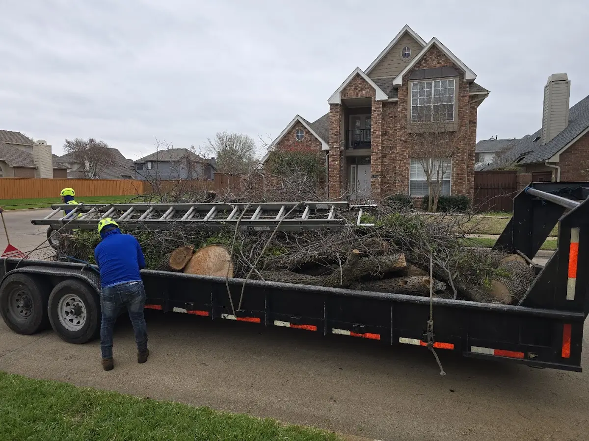 Expert Lot Clearing with proper safety equipment in Holy Cross